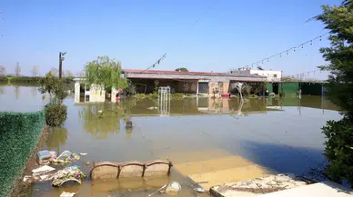 Gediz ve Nif el ele verdi, Manisa Ovası’nı yuttu: Üretici kan ağlıyor!