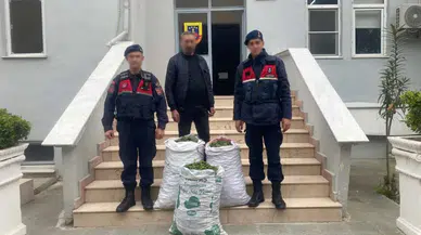 İncir bahçesinde suçüstü! Jandarma affetmedi, hırsız kıskıvrak yakalandı!