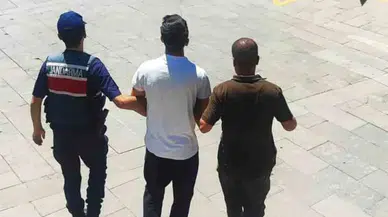 Bir anlık şaka ormanı kül etti, faturası rekor oldu: 43 milyonluk torpil!