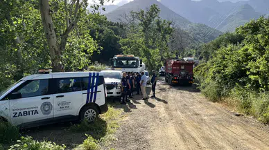 Hatay'da yürekler ağza geldi! Orman alevlere teslim oldu