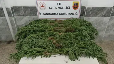 Aydın'da narkotik darbesi! Ev değil uyuşturucu fabrikası