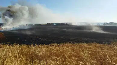 Batı Şeria'da saldırı: Ev basıldı, tarlalar kundaklandı!