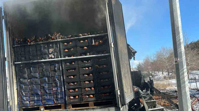 Bir ömürlük emeği kül oldu... Adana’da narenciye yüklü tır cayır cayır yandı!