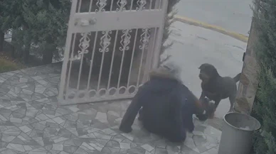 Ankara’da sokak ortasında dehşet… Köpekler saldırdı, canını zor kurtardı!