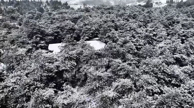 Şamlar Tabiat Parkı karla buluştu… Doğa sustu, kartpostallık manzara konuştu!