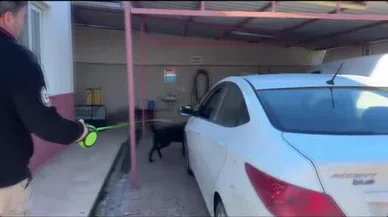 Özrü kabahatinden beter! Binlerce uyuşturucu ile yakalandı 'Babam hastaydı' dedi