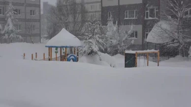 Bitlis’te hayat dondu... Kar her şeyi susturdu, 335 köy ulaşıma kapandı!