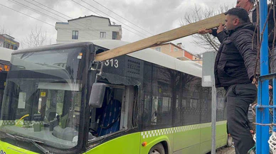 Fırtına nedeniyle çatılar uçtu, ağaçlar devrildi: Kocaeli'nde fırtına dehşeti!