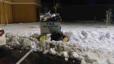 Günlerdir toplanmayan çöpler isyan ettirdi