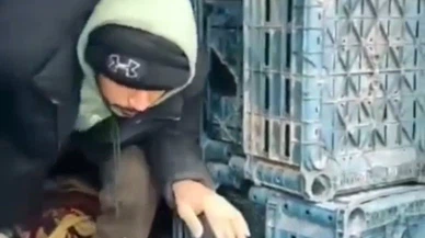 Yolculuk kamyon kasasında bitti! 14 göçmen, 3 tutuklama