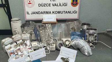Düzce’de jandarmadan zehir operasyonu... Çatıda kenevir, evlerde cephanelik çıktı!