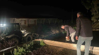 Fırtına mezarlıkta ağaçları devirdi, belediye ekipleri anında müdahale etti