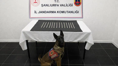 Şanlıurfa'da gençliği zehirlemek istediler... Jandarma operasyonla yakayı ele verdi!