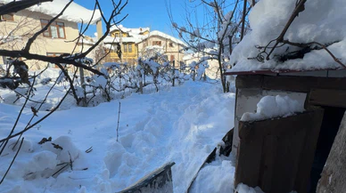 Kışın acı yüzü: 80 yaşındaki kadın bahçesinde donarak öldü!