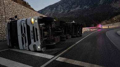 Tünel girişinde feci kaza! Hayvan yüklü tır devrildi