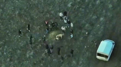 Afyonkarahisar’da dronla suç üstü… Köpek dövüşüne jandarma baskını!