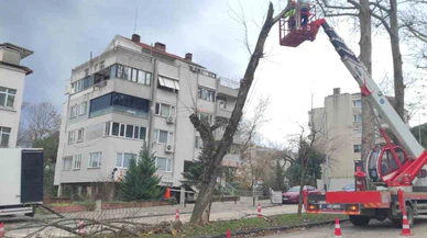 Lodos Bursa’yı vurdu, Büyükşehir ekipleri anında müdahale etti