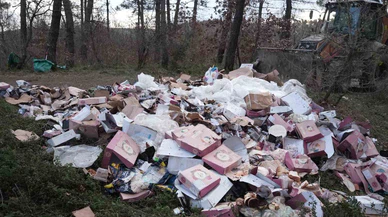 Düzce’de Kent Ormanı çöp yığınına döndü: Temizlik seferberliği başlatıldı!
