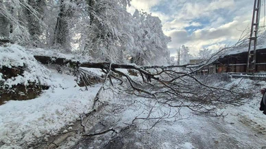 Devrilmeden 10 saniye önce durdu... Sinop’ta sürücünün dikkati faciayı önledi!