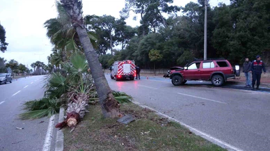 Alkol şişesi arabada, facia refüjde... 186 promil direksiyon palmiyeye çarpıp hurdaya döndü!