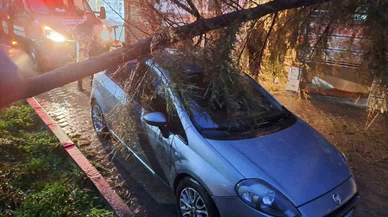 Kırklareli’de geceyi sarsan olay... Şiddetli rüzgar vurdu, ağaç otomobilin üzerine çöktü!