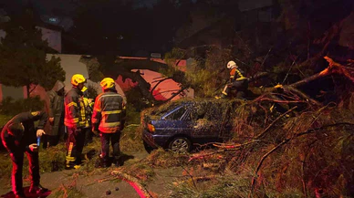 Rüzgar esti, felaket geldi... Yolun ortasında hayatla ölüm arasında kaldılar!
