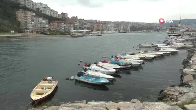 Bursa’da kan donduran olay: 'Ölmek istedik' dedi, oğlunu denize attı!