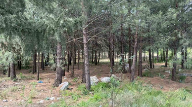 Jandama tek tek çözdü: Anne ve oğlunu 'gönül ilişkisi' ve 'altın' için öldürmüşler!