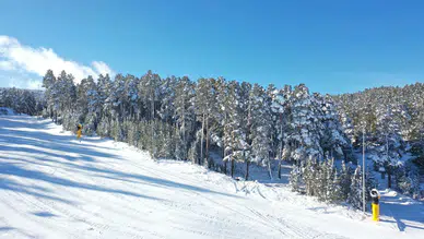 Kar yağışı Sarıkamış’ta doğayı beyaza boyadı