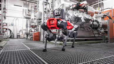 Robot köpek ormanda nöbette: Ağaçların sağlığını anında tespit ediyor...
