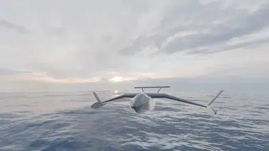 Görünmeden uçuyor, hedefi buluyor: Yerli mühendislik ürünü sessiz güç TALAY!