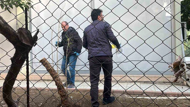 'Paramı ver' dedi, bıçağı çekti... Antalya’da borç defteri kana bulandı!