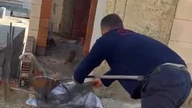 Asansör boşluğunda mahsur kalan kedi için itfaiye seferber oldu