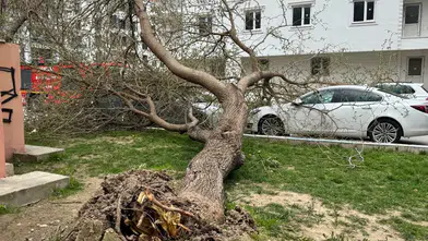 Denizli’de Fırtına Dehşeti! Çatılar Uçtu, Ağaçlar Devirdi