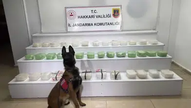 Zehir tacirlerine darbe, Van ve Hakkari’de 15 şüpheli yakalandı