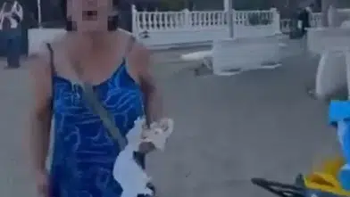 Plajda skandal görüntüler! 'Buralar bizim" diyen şezlong magandası gözaltında