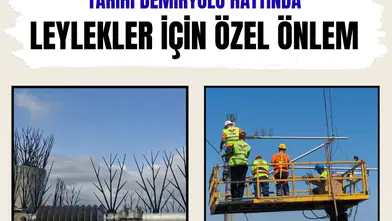 Tarihi demiryolu hattında leylekler için özel önlem alındı
