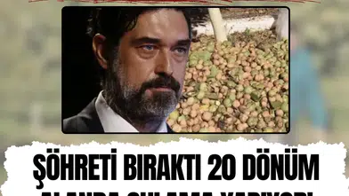 Burak Hakkı Çanakkale'deki çiftliğinde ceviz hasadına hazırlanıyor