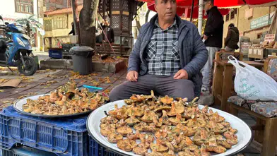 Tavşanlı'da sonbahar yağmurlarıyla melki mantarı mesaisi başladı
