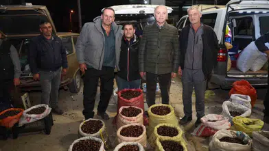 Düzce'de kuzu kestanesi pazarı hareketlendi: Başkan Faruk Özlü'den davet