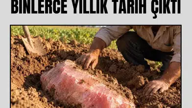 Mısır'da bir çiftçinin tarlasında bulunan pembe taşın altından 3 bin yıllık firavun heykelleri çıktı