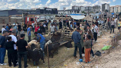 Arefe günü Gaziantep’teki kurban pazarlarında yoğunluk had safhaya çıktı