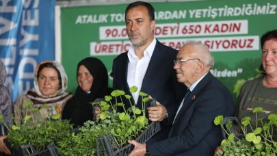 650 kadına 90 bin fide