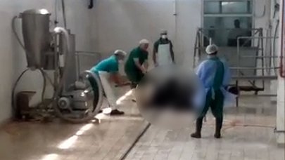 Kombinada hayvana eziyet etmişlerdi: Cezaları belli oldu