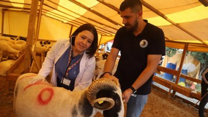 Kartal’da kurbanlık hayvanlar sağlık kontrolünden geçiyor