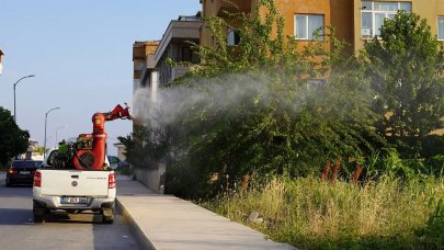 Beylikdüzü'nde haşerelere karşı ilaçlama
