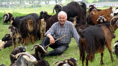 İstanbul'da bir yayla