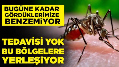 Uzmanı uyardı! Bugüne kadar gördüklerimize benzemiyor: Görülmeyen enfeksiyon hastalıklarını artırabilir