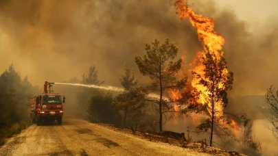 Orman yangınlarının sebebi insan!