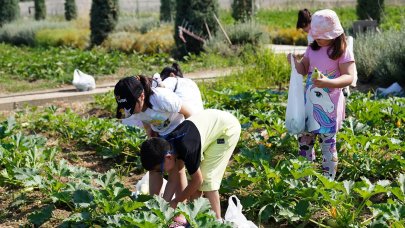 Öğrencilerin Yaşam Bahçesi’nde hasat heyecanı